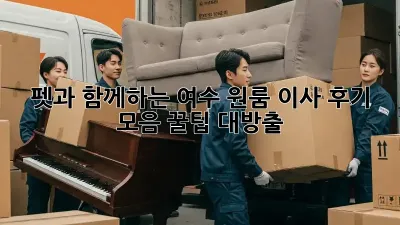 펫과 함께하는 여수 원룸 이사 후기 모음: 꿀팁 대방출!
