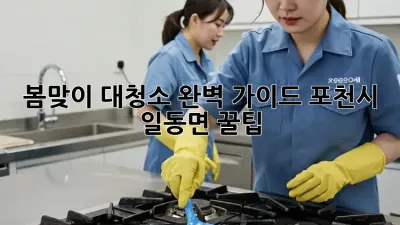 봄맞이 대청소 완벽 가이드: 포천시 일동면 꿀팁!