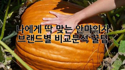 나에게 딱 맞는 안마의자? 🤔 브랜드별 비교분석 꿀팁! 💯