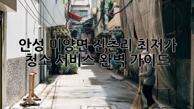 안성 미양면 진촌리 최저가 청소 서비스 완벽 가이드