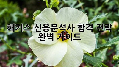 해커스 신용분석사 합격 전략 완벽 가이드